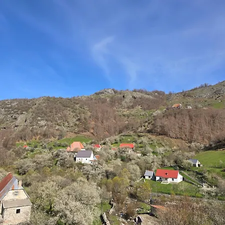 Villa Vilat Suka Mkushit *