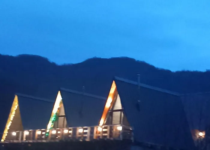 Vilat Suka Mkushit Shkodra